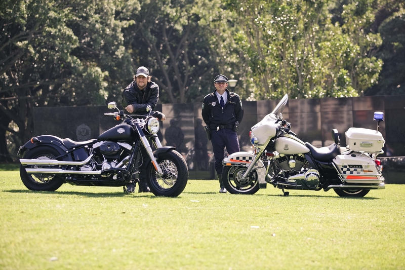 Harley & Hindmarsh support Wall to Wall