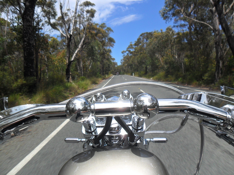 1988/11 HARLEY-DAVIDSON CUSTOM BUILT CHOPPER Softail