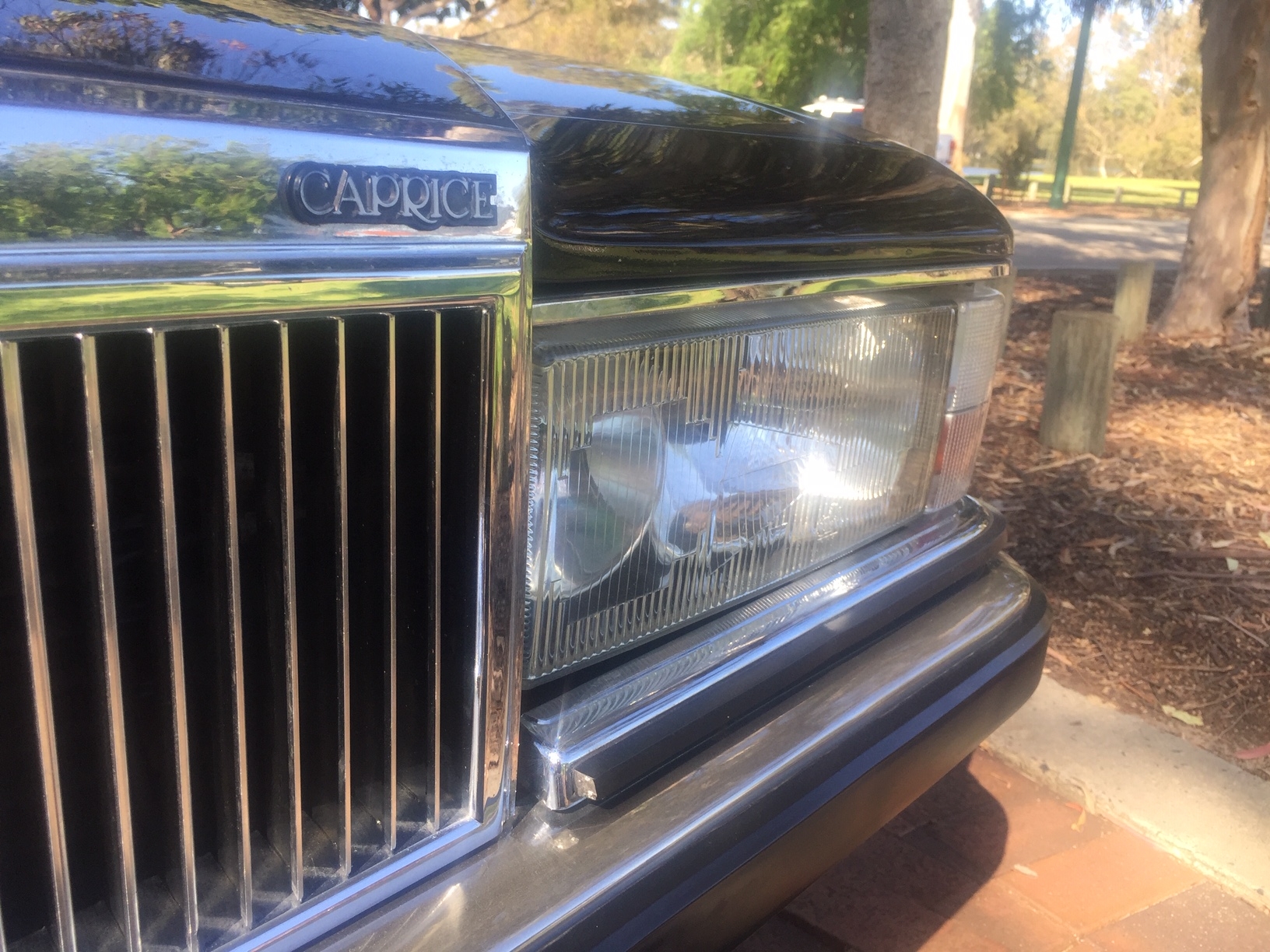 1984 HOLDEN DEALER TEAM STATESMAN CAPRICE MAGNUM WB SEDAN