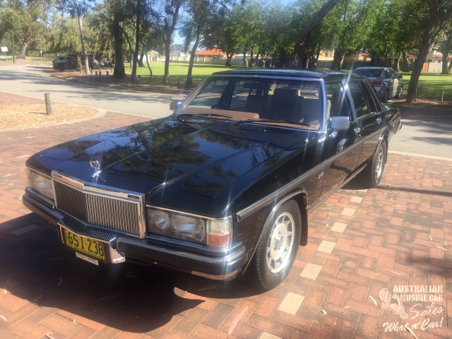 1984 HOLDEN DEALER TEAM STATESMAN CAPRICE MAGNUM WB SEDAN
