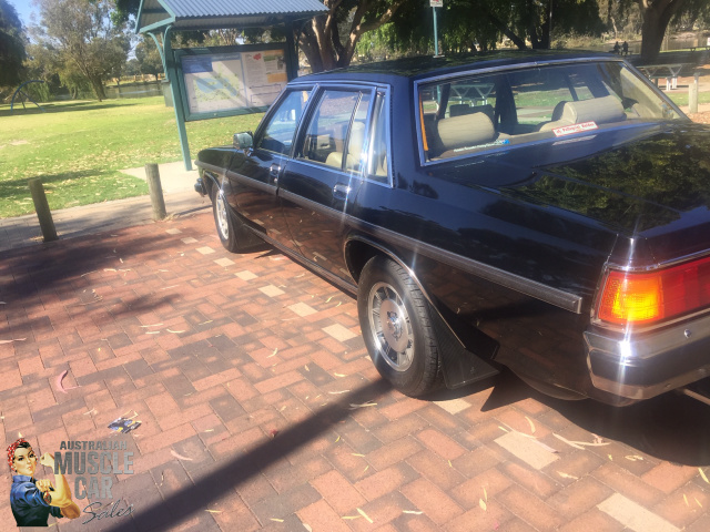 1984 HOLDEN DEALER TEAM STATESMAN CAPRICE MAGNUM WB SEDAN