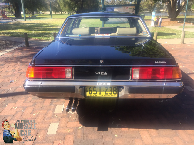 1984 HOLDEN DEALER TEAM STATESMAN CAPRICE MAGNUM WB SEDAN