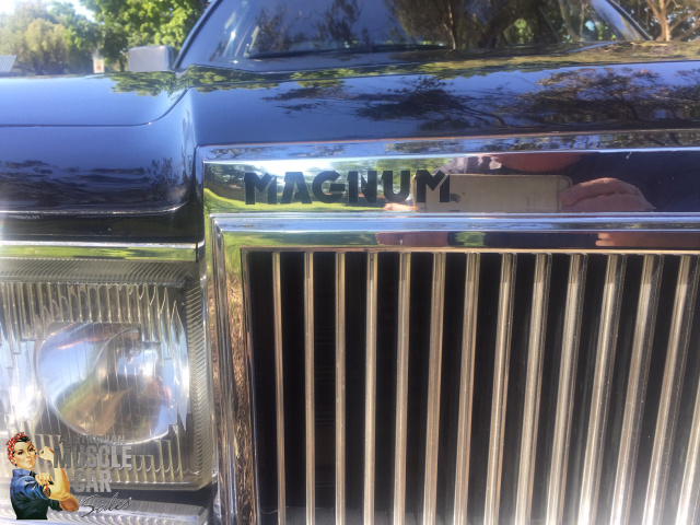 1984 HOLDEN DEALER TEAM STATESMAN CAPRICE MAGNUM WB SEDAN