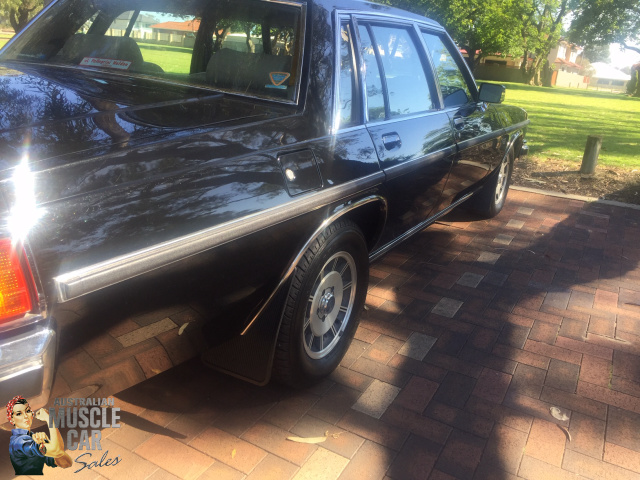 1984 HOLDEN DEALER TEAM STATESMAN CAPRICE MAGNUM WB SEDAN