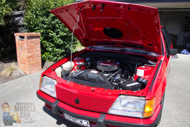 1983 HOLDEN VH COMMODORE SS GROUP 3 BROCK HIGH OUTPUT 4 SPEED MANUAL SEDAN