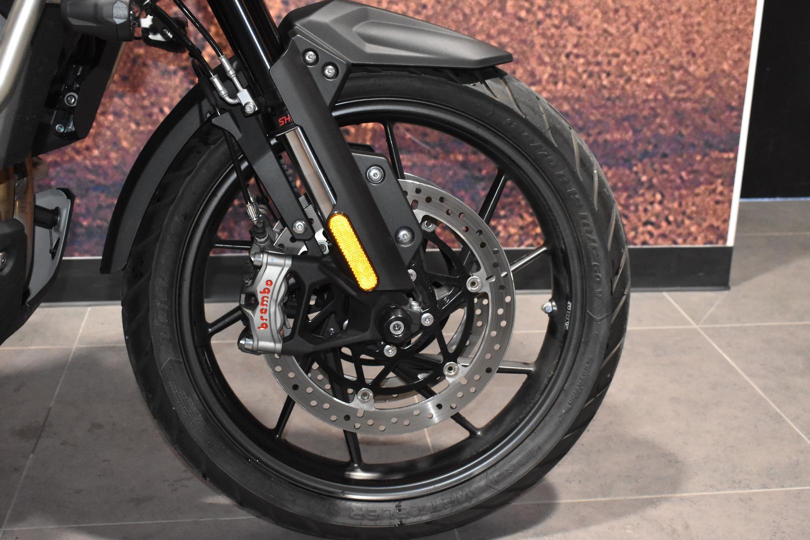 2024 TRIUMPH TIGER 1200 GT EXPLORER DUAL SPORTS