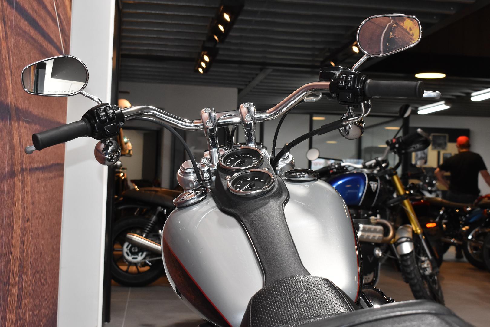 2014 HARLEY-DAVIDSON DYNA LOW RIDER 103 (FXDL) CRUISER