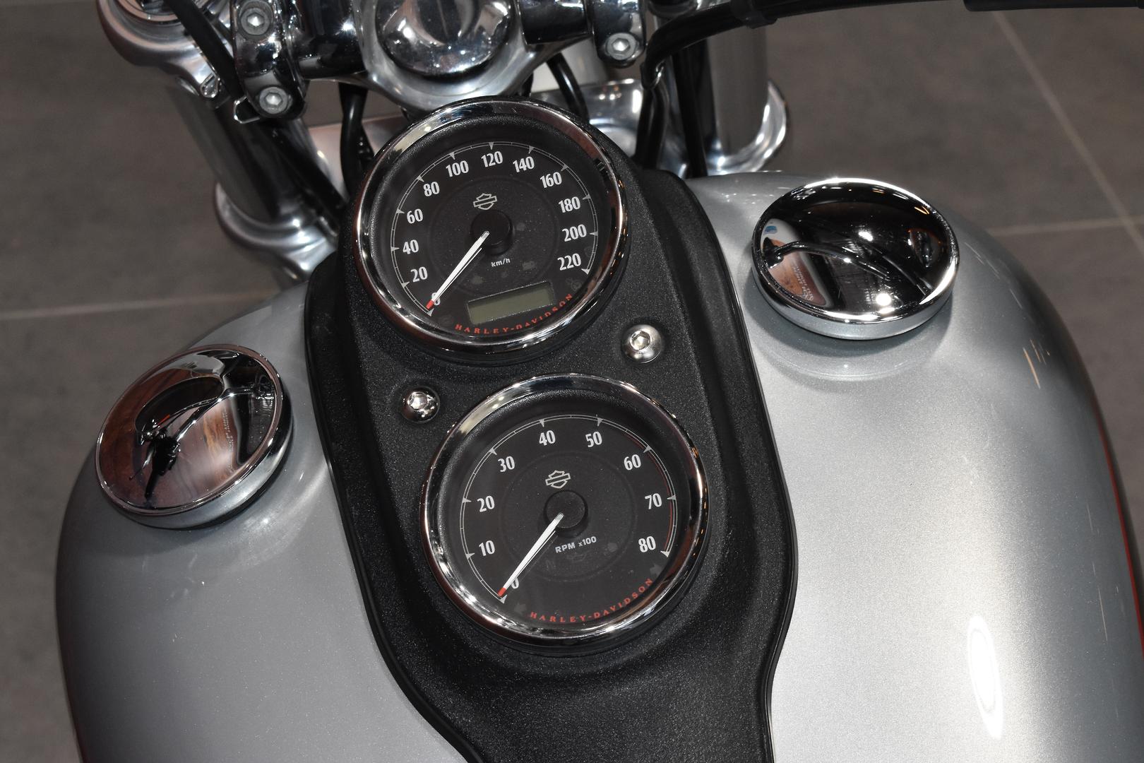 2014 HARLEY-DAVIDSON DYNA LOW RIDER 103 (FXDL) CRUISER
