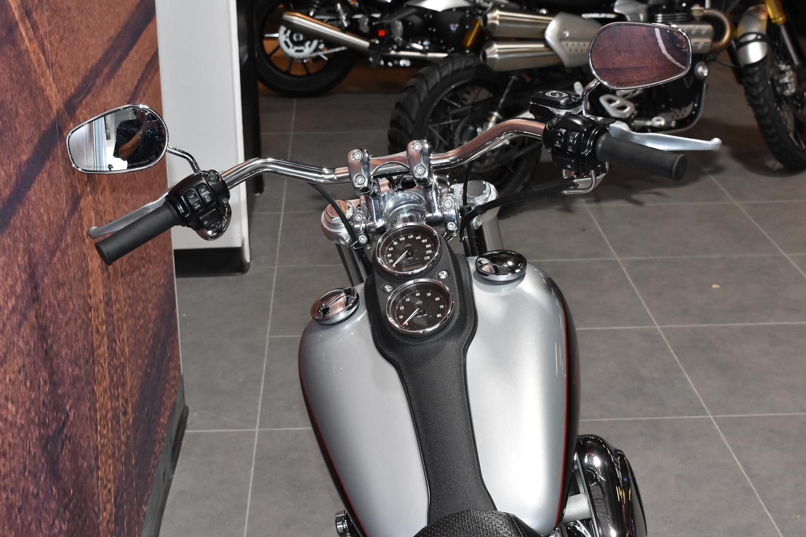 2014 HARLEY-DAVIDSON DYNA LOW RIDER 103 (FXDL) CRUISER