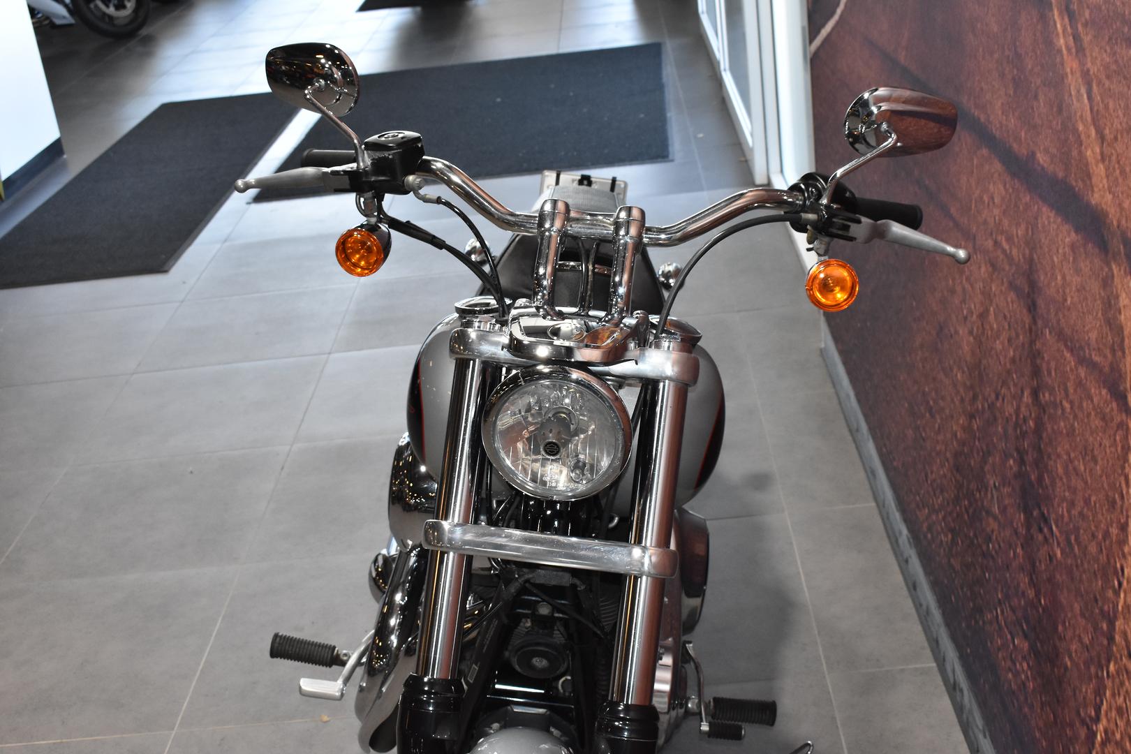 2014 HARLEY-DAVIDSON DYNA LOW RIDER 103 (FXDL) CRUISER