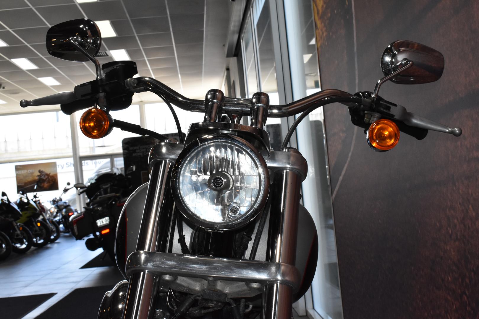 2014 HARLEY-DAVIDSON DYNA LOW RIDER 103 (FXDL) CRUISER