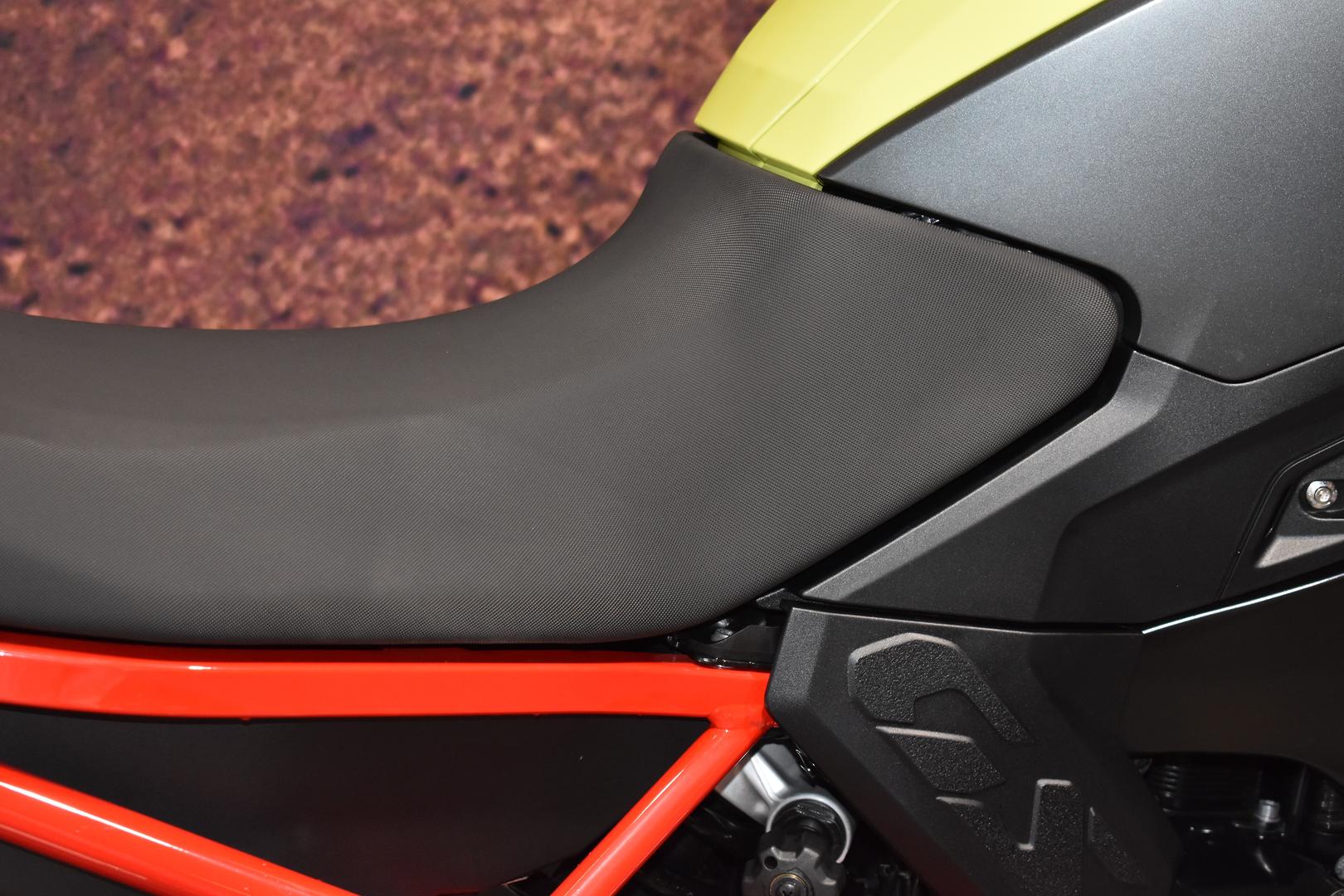 2024 BMW F 900 GS DUAL SPORTS