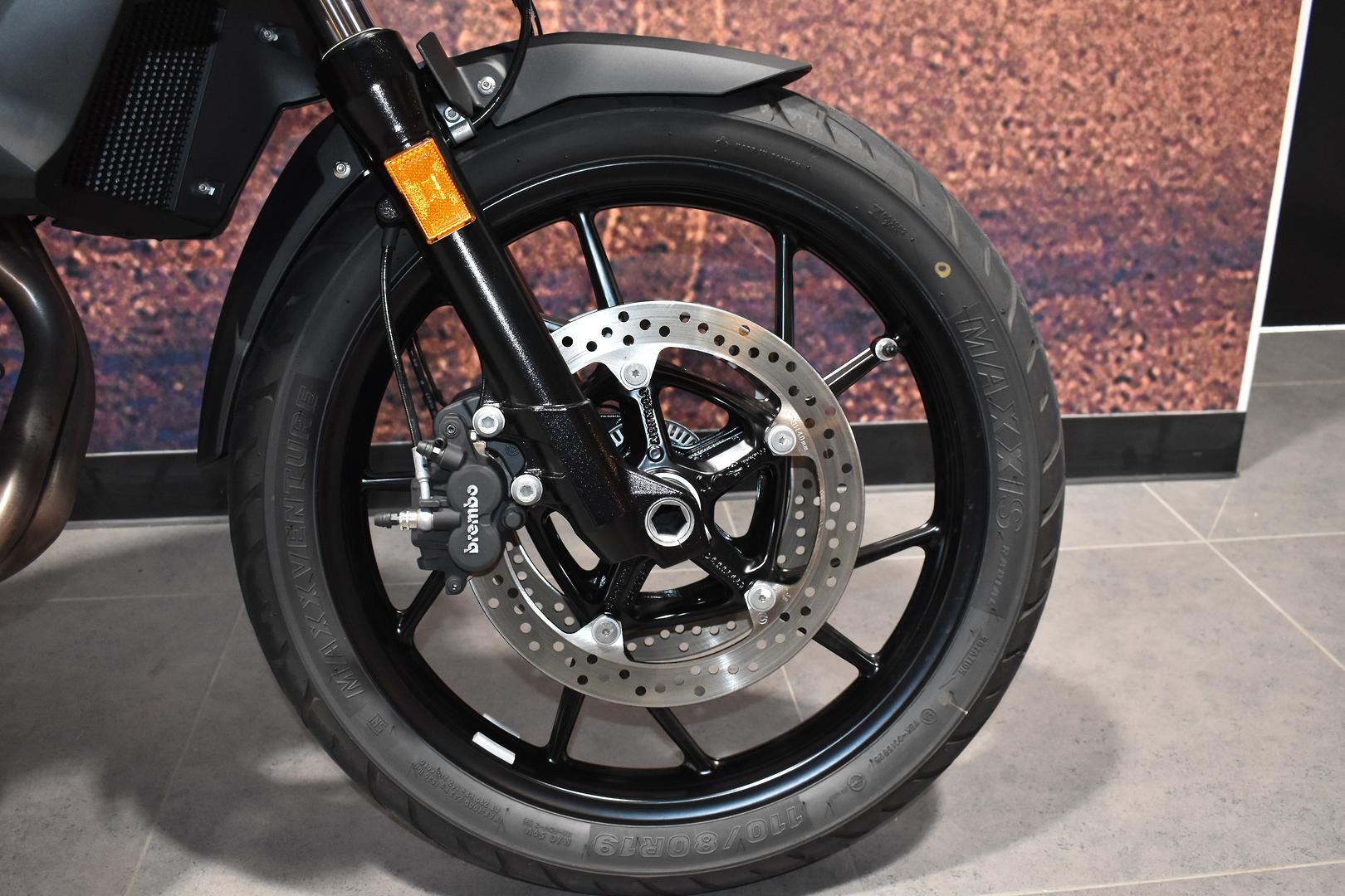 2024 BMW F 800 GS DUAL SPORTS