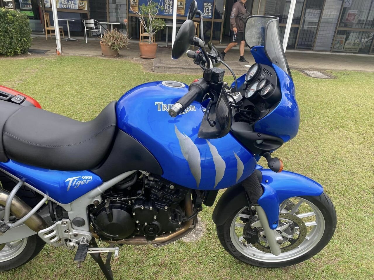 2006 TRIUMPH TIGER 955i DUAL SPORTS 