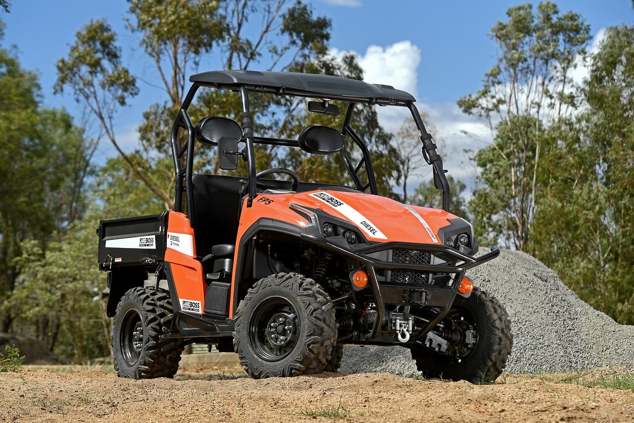 2019 LANDBOSS 1100D LE SXS & UTV
