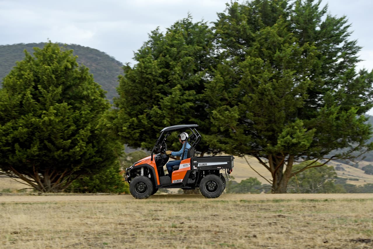 2019 LANDBOSS 1100D LE SXS & UTV