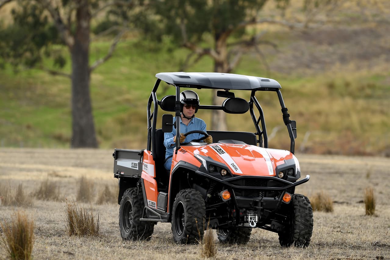 2019 LANDBOSS 1100D LE SXS & UTV