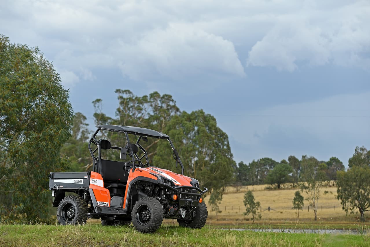 2019 LANDBOSS 1100D LE SXS & UTV