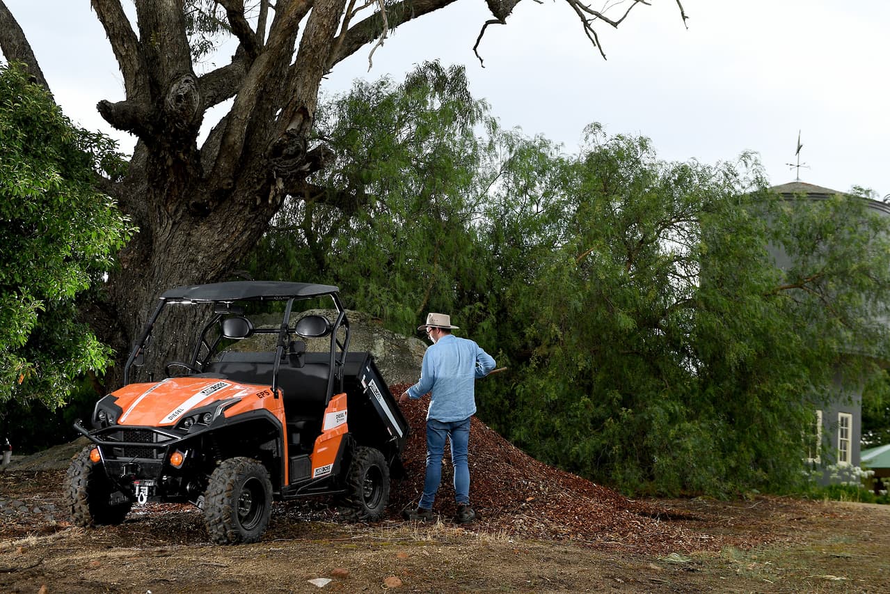 2019 LANDBOSS 1100D LE SXS & UTV