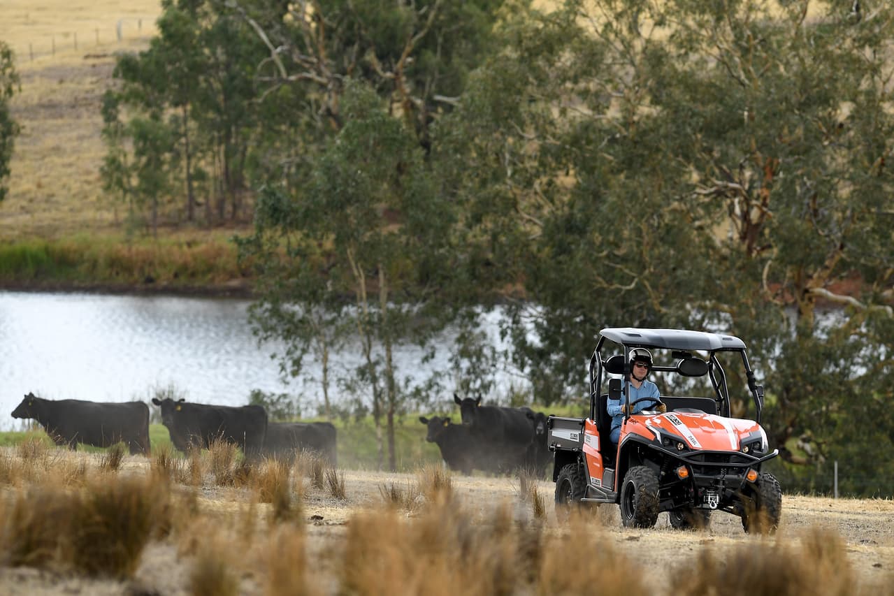 2019 LANDBOSS 1100D LE SXS & UTV
