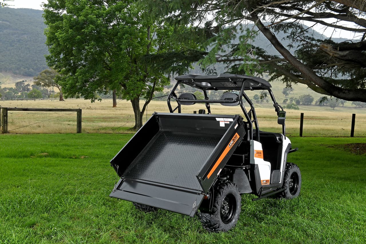 2019 LANDBOSS 1100D LE SXS & UTV