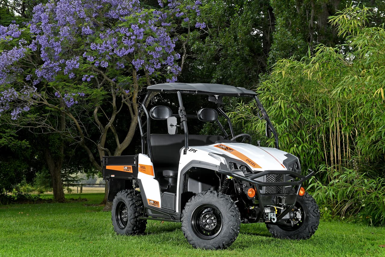 2019 LANDBOSS 1100D LE SXS & UTV