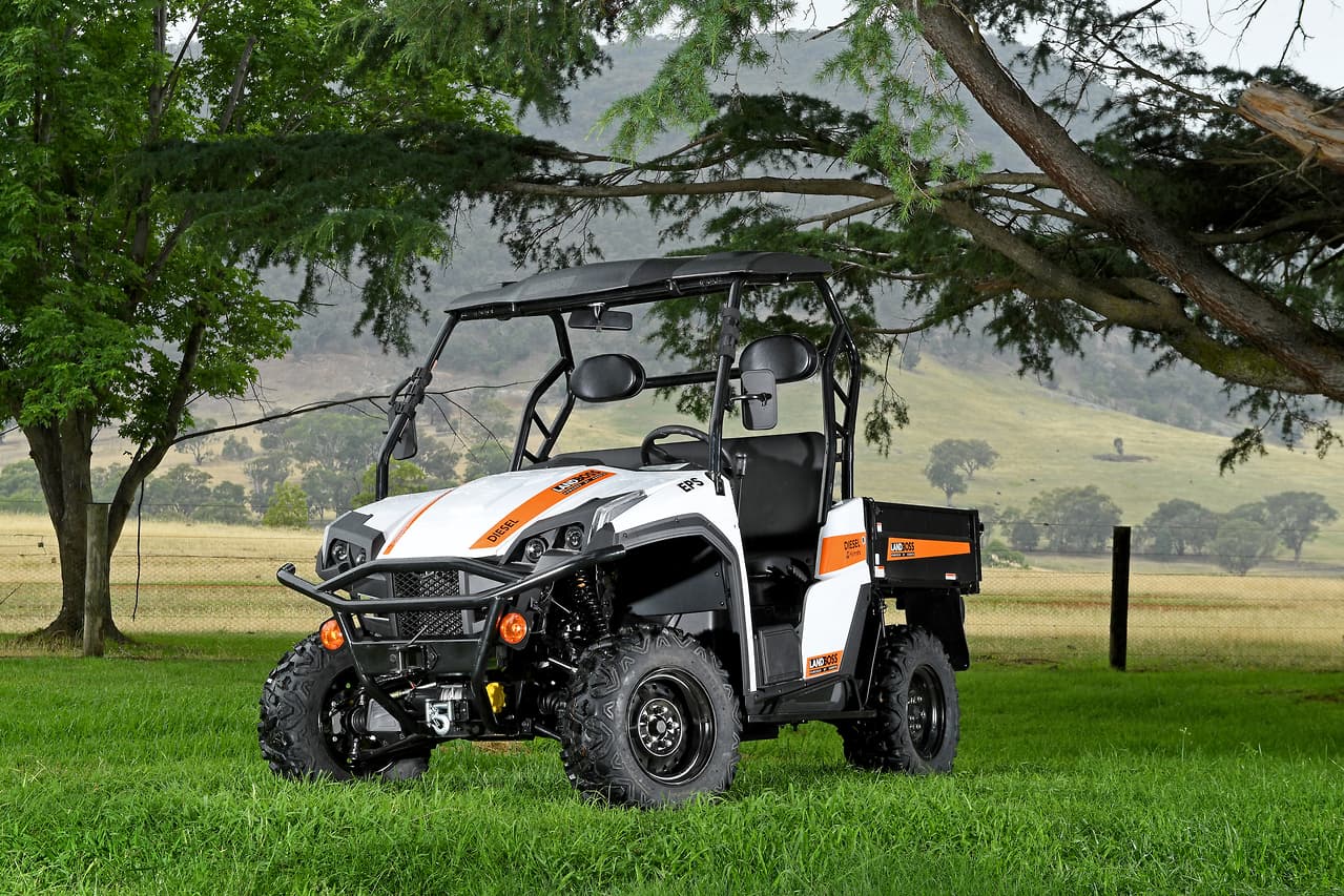 2019 LANDBOSS 1100D LE SXS & UTV