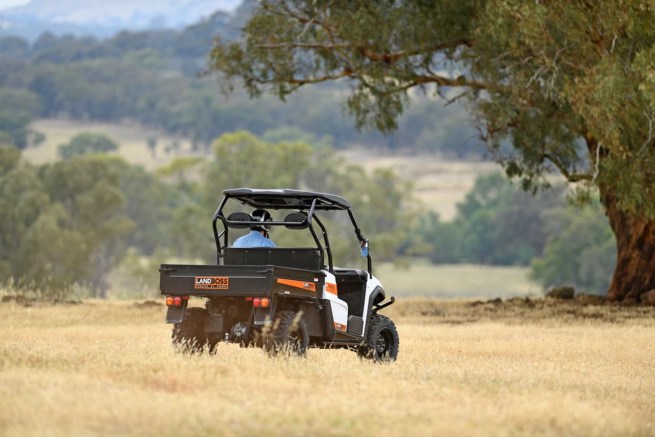 2019 LANDBOSS 1100D LE SXS & UTV
