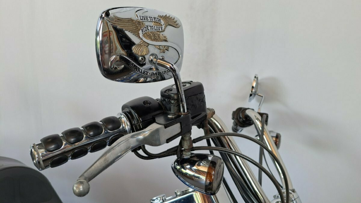 2009 HARLEY-DAVIDSON FXSTC SOFTAIL CUSTOM CRUISER