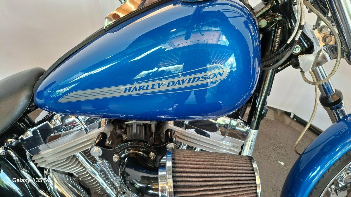 2007 HARLEY-DAVIDSON FXST SOFTAIL STANDARD CRUISER