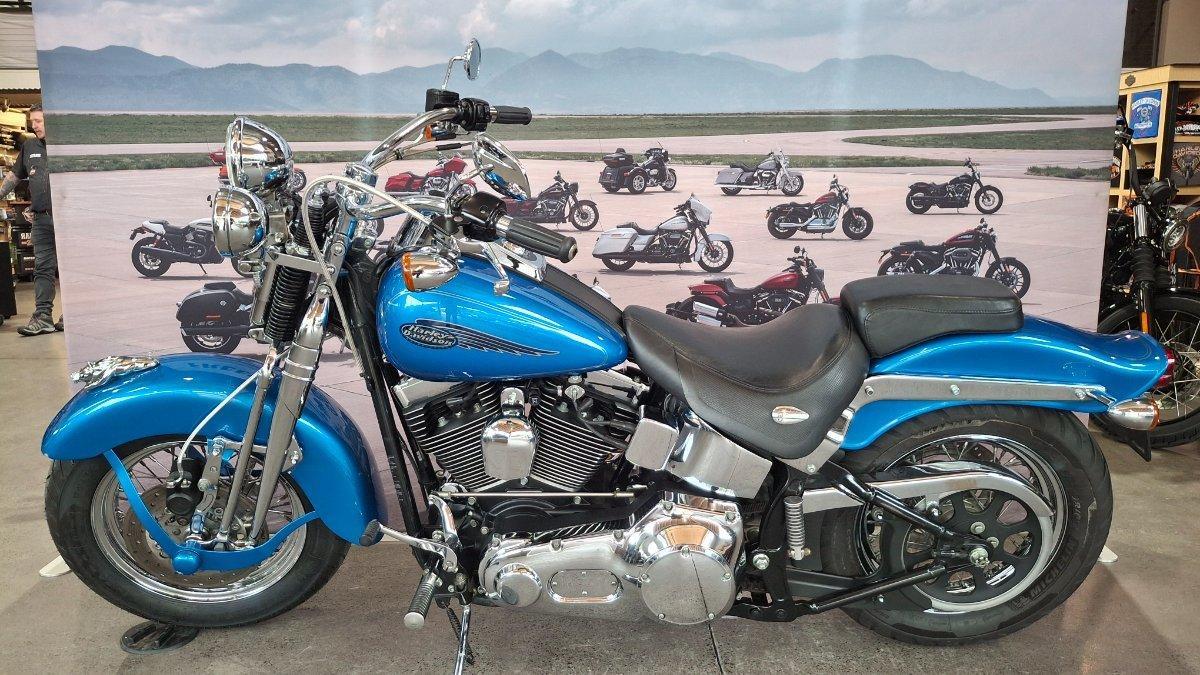 2002 HARLEY-DAVIDSON SPRINGER SOFTAIL 88 (FXSTS) CRUISER