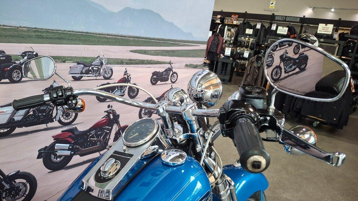 2002 HARLEY-DAVIDSON SPRINGER SOFTAIL 88 (FXSTS) CRUISER