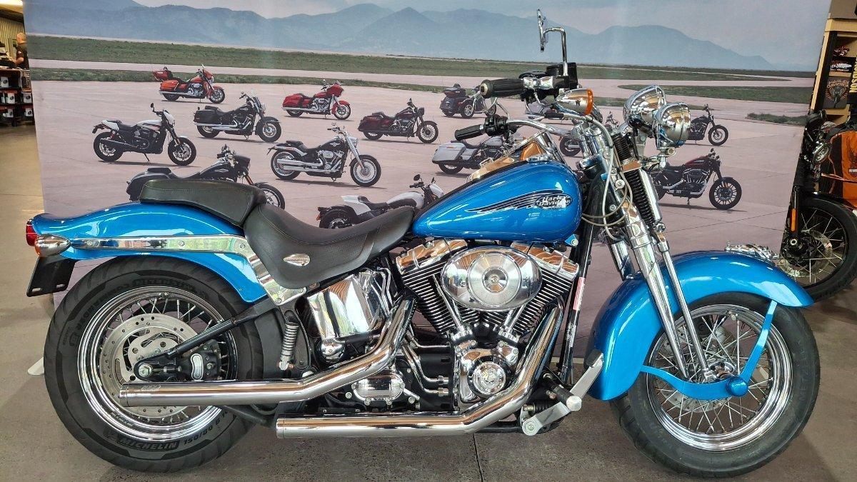 2002 HARLEY-DAVIDSON SPRINGER SOFTAIL 88 (FXSTS) CRUISER