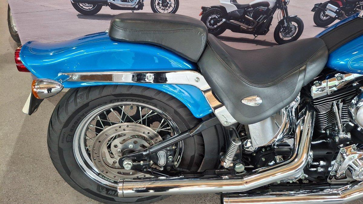 2002 HARLEY-DAVIDSON SPRINGER SOFTAIL 88 (FXSTS) CRUISER