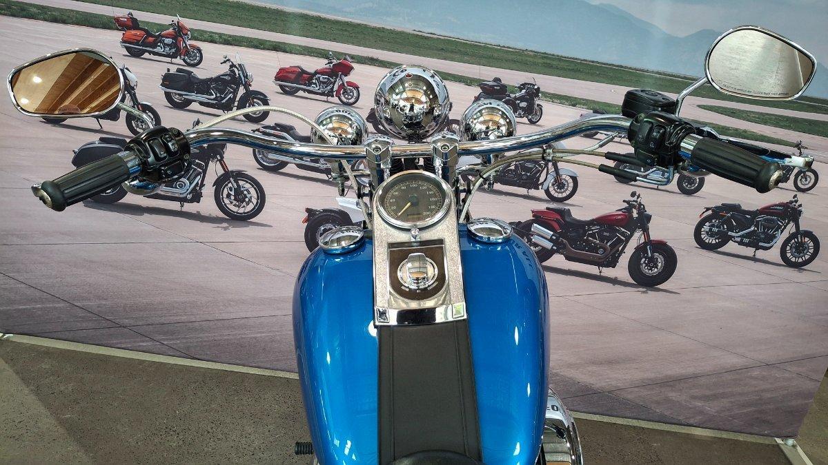 2002 HARLEY-DAVIDSON SPRINGER SOFTAIL 88 (FXSTS) CRUISER