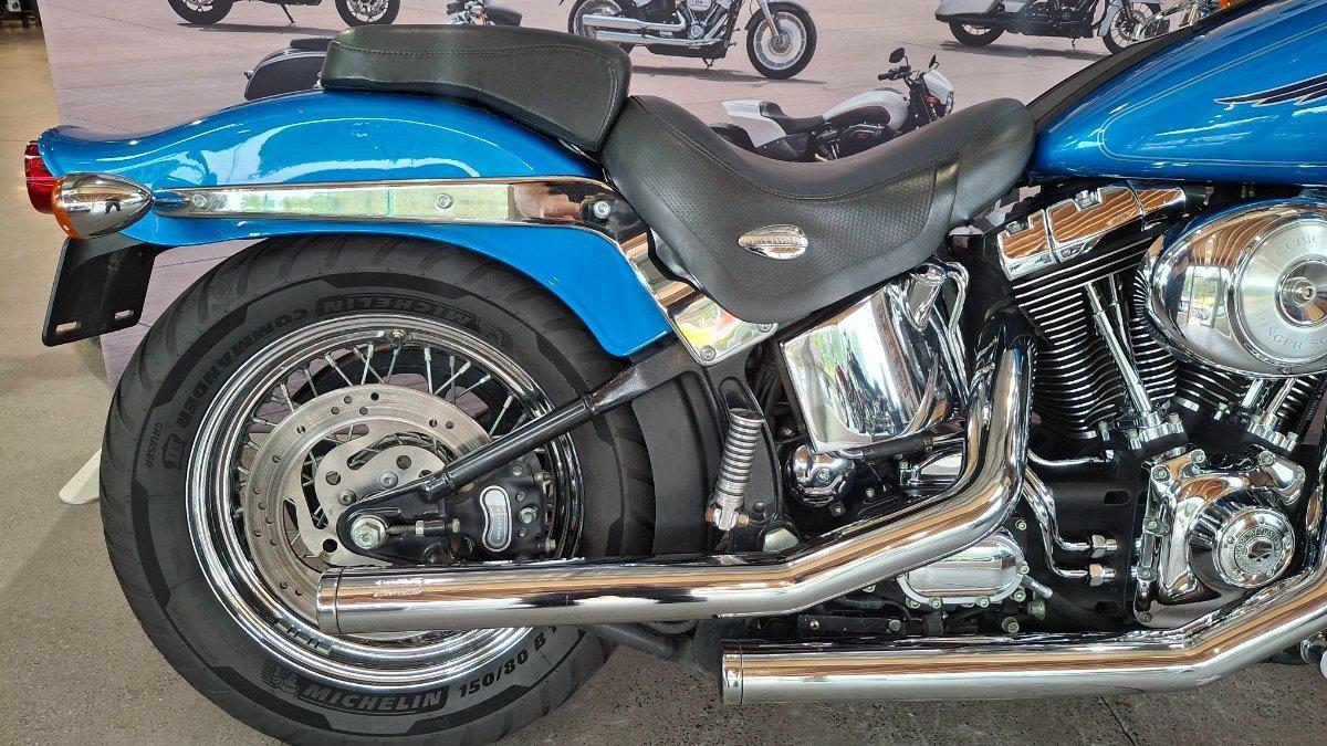 2002 HARLEY-DAVIDSON SPRINGER SOFTAIL 88 (FXSTS) CRUISER