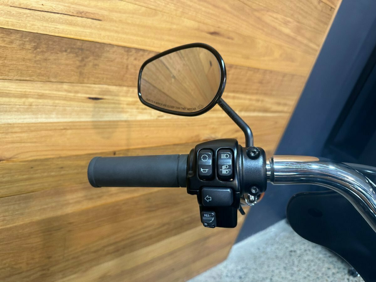 2019 HARLEY-DAVIDSON FLSB SPORT GLIDE (CUSTOM TT) CRUISER