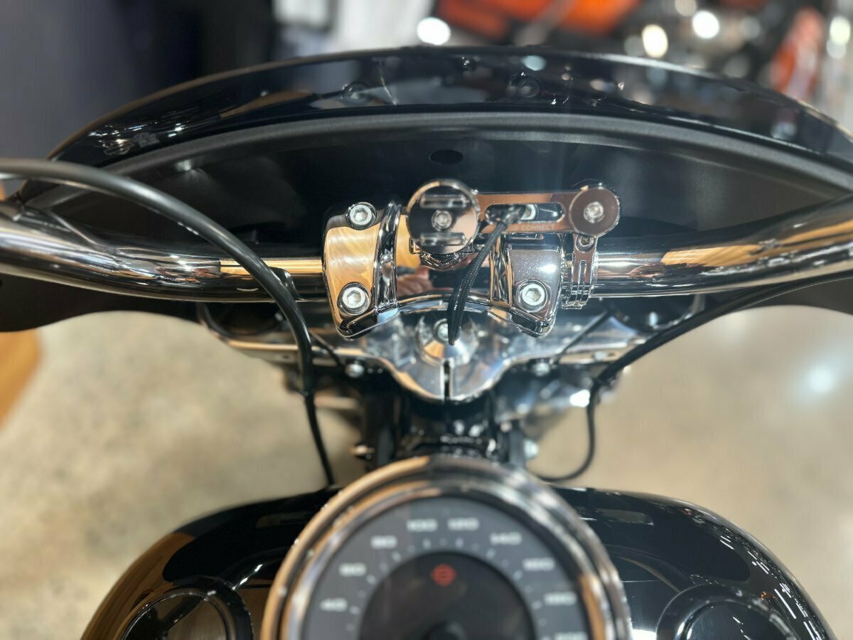 2019 HARLEY-DAVIDSON FLSB SPORT GLIDE (CUSTOM TT) CRUISER