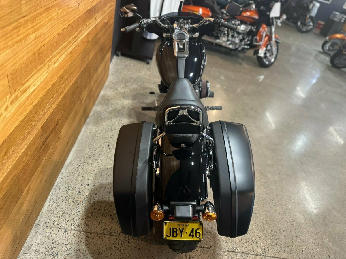 2019 HARLEY-DAVIDSON FLSB SPORT GLIDE (CUSTOM TT) CRUISER