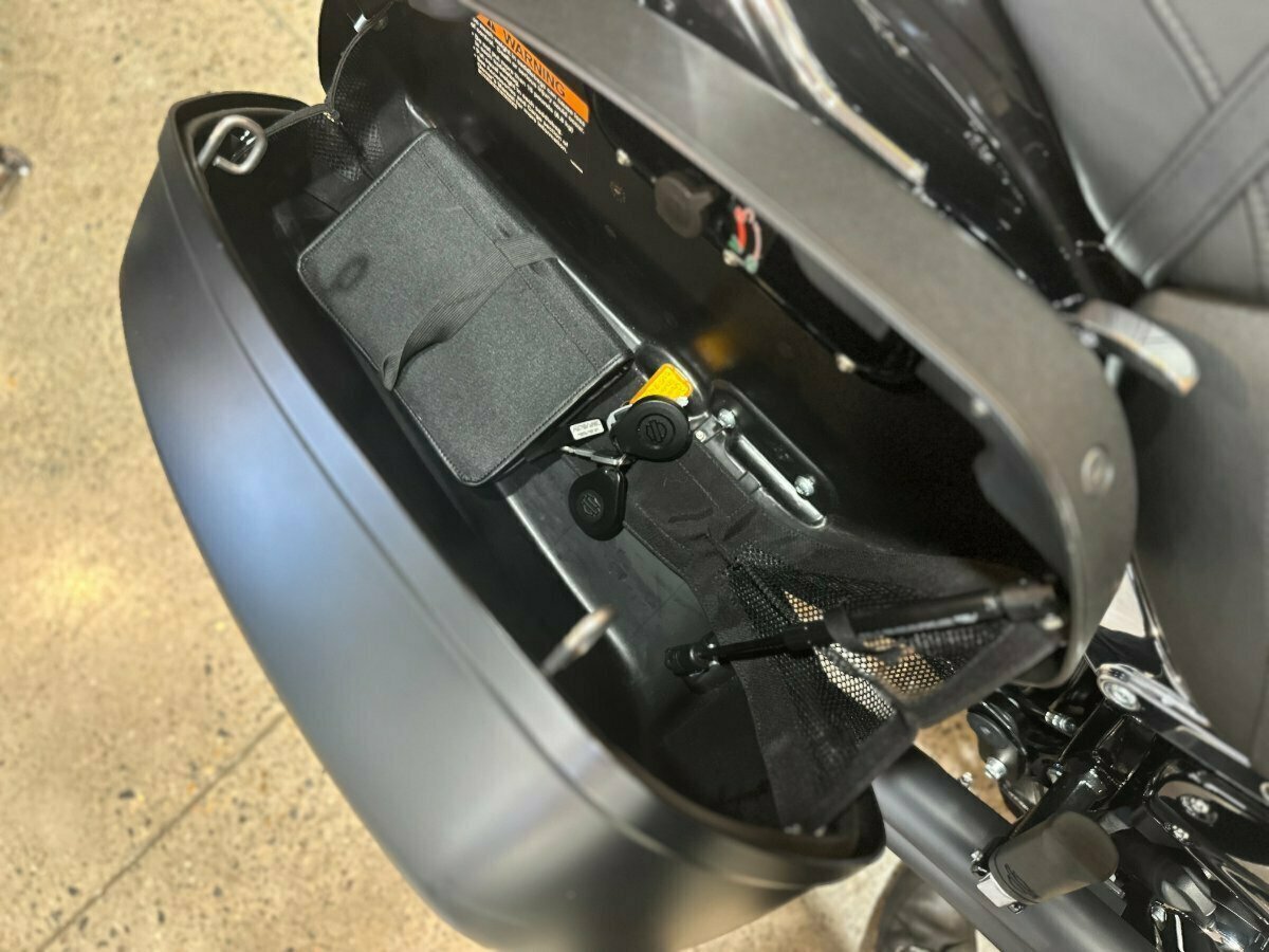 2019 HARLEY-DAVIDSON FLSB SPORT GLIDE (CUSTOM TT) CRUISER