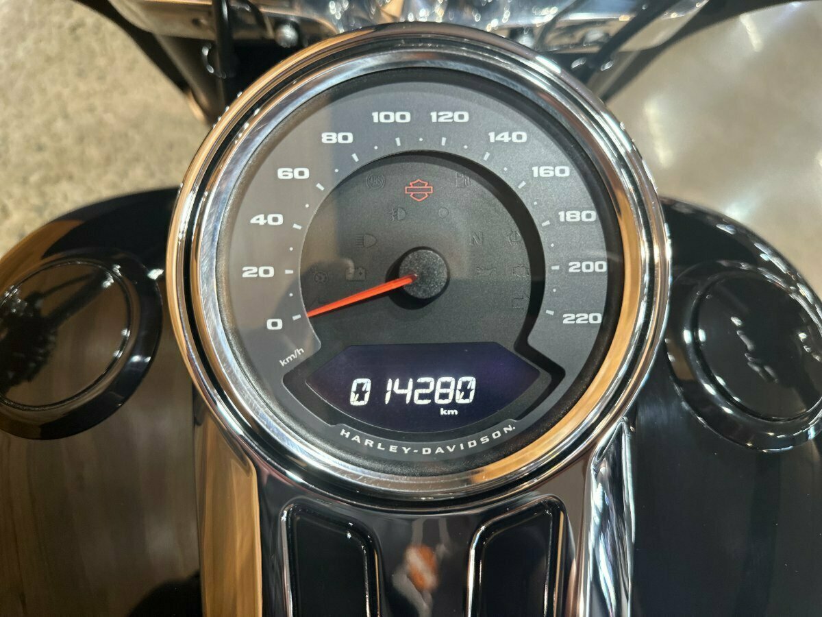 2019 HARLEY-DAVIDSON FLSB SPORT GLIDE (CUSTOM TT) CRUISER