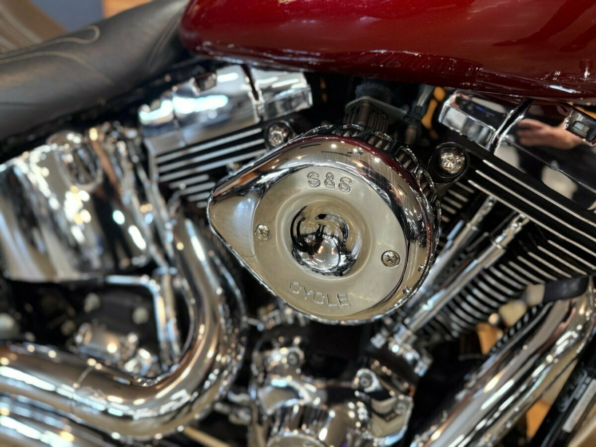 2007 HARLEY-DAVIDSON FXST SOFTAIL STANDARD CRUISER