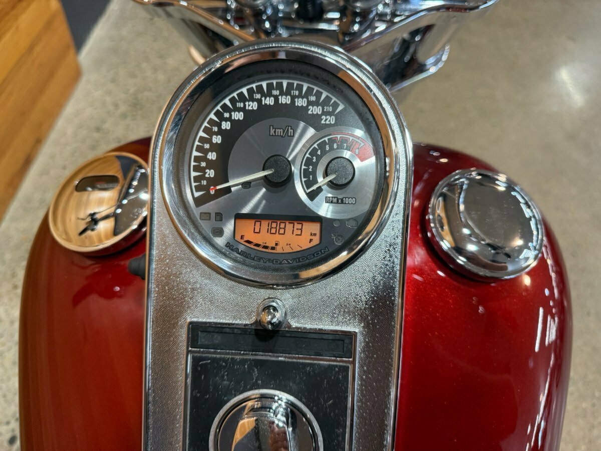 2007 HARLEY-DAVIDSON FXST SOFTAIL STANDARD CRUISER
