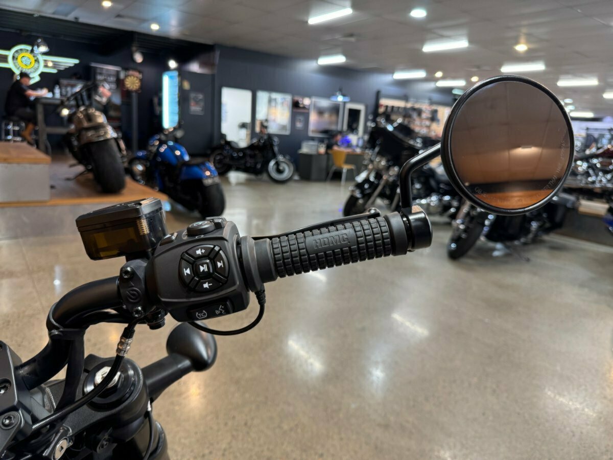 2022 HARLEY-DAVIDSON SPORTSTER S CRUISER