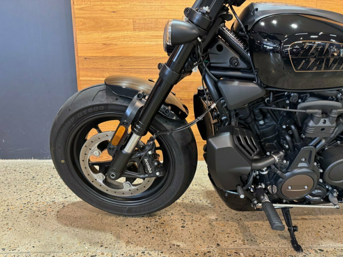 2022 HARLEY-DAVIDSON SPORTSTER S CRUISER