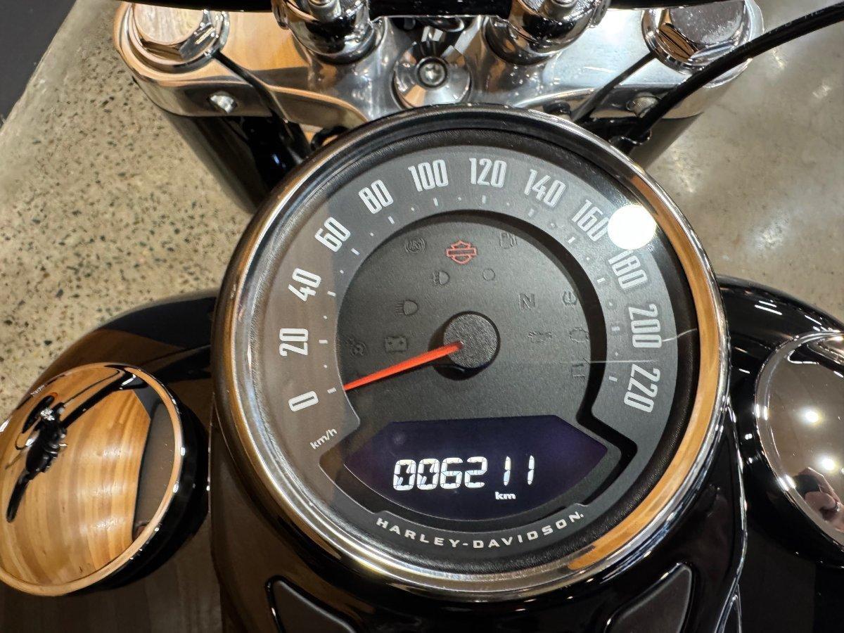 2018 HARLEY-DAVIDSON SLIM 107 (FLSL) CRUISER