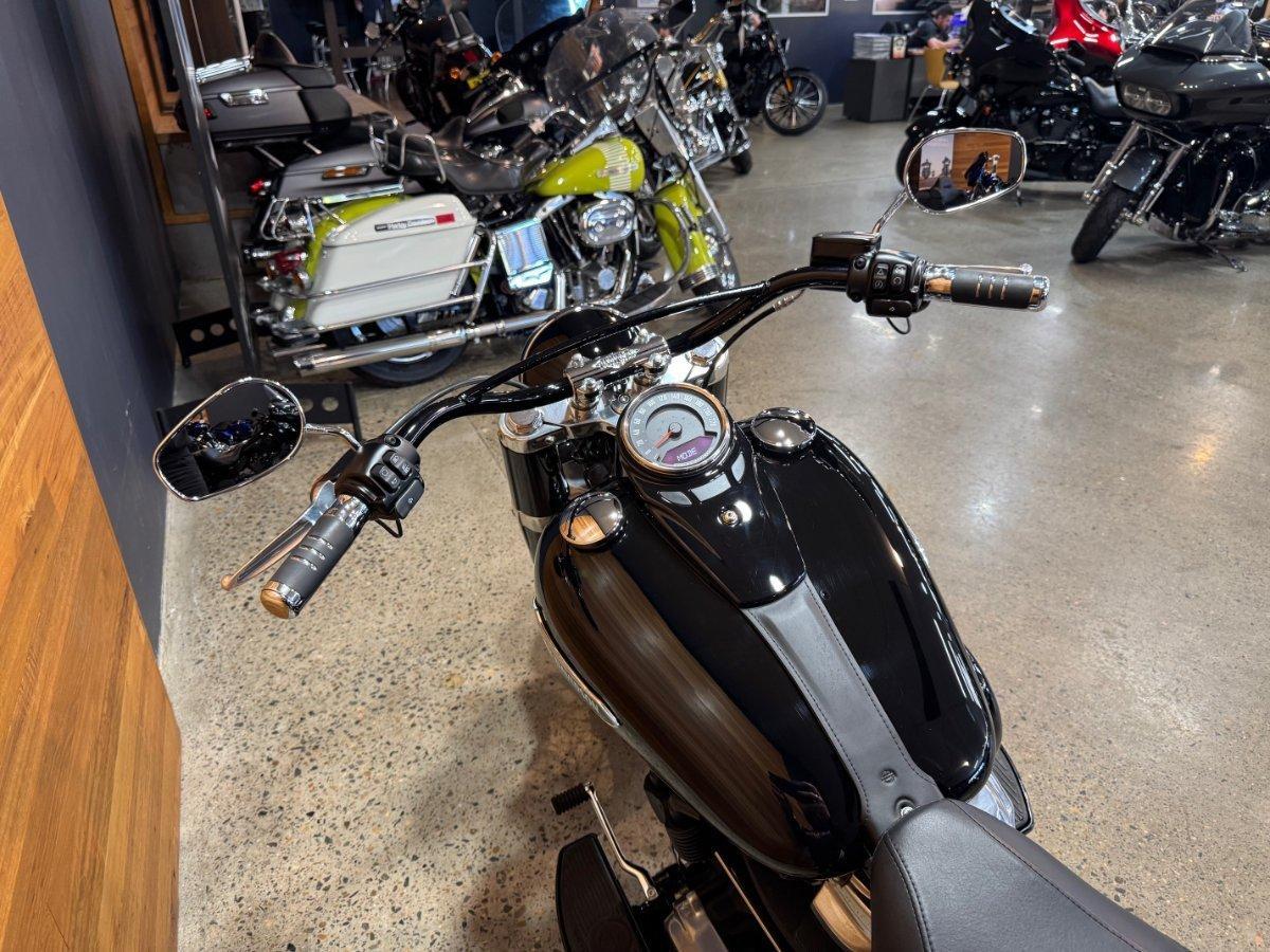 2018 HARLEY-DAVIDSON SLIM 107 (FLSL) CRUISER