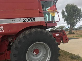 1999 CASE IH HEADER HARVESTER