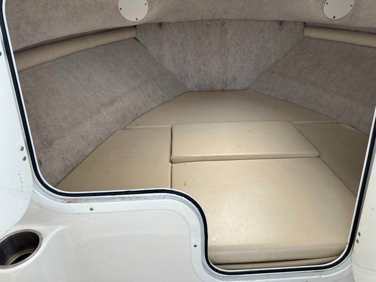 CAMPION EXPLORER 542 SPORT