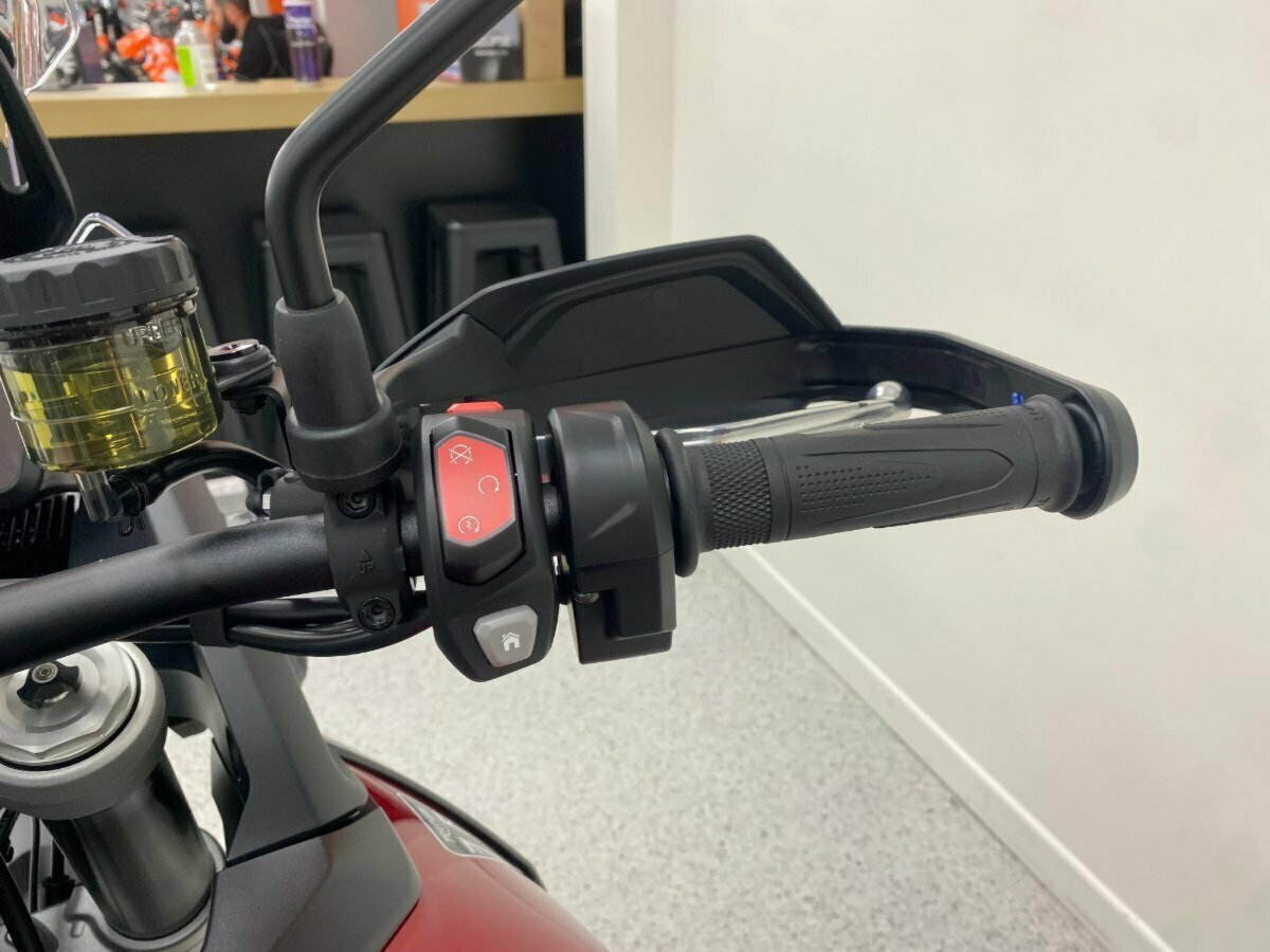 2024 TRIUMPH TIGER 900 GT PRO DUAL SPORTS